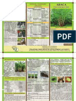 Abaca PDF