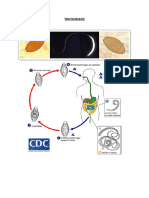 PARASITOLOGIKU