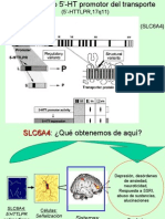 Polimorfismo de La Conducta