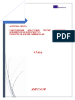 Ghid de completare a fomularului de candidatura KA229.pdf
