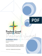 Subsidio de Pastoral Juvenil - 2015