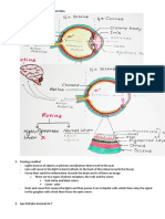 Gambar dan jelaskan Anatomi Mata.docx