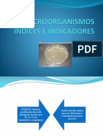 Microorganismos Indices e Indicadores