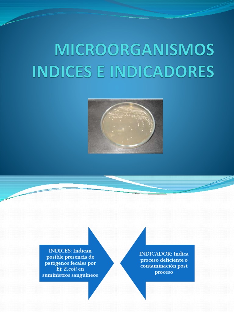 Indices e Indicadores PDF