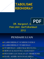 P2-Metabolisme Karbohidrat (DS FKH II) - Copy