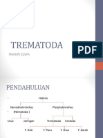 TREMATODA