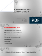 11.pola Pewarisan Sifat - Apriani