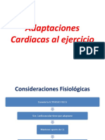 Adaptaciones Cardiacas Al Ejercicio Valeria Bottinelli