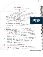 BIO-4-cellstructure-GEF