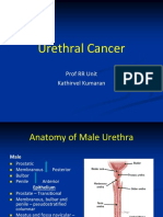 Male Urethral Cancer Anatomy, Staging and Treatment