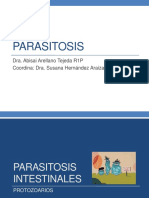 Parasitosis intestinales protozoarios y helmintos