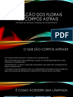 A Atuação Dos Florais Nos Corpos Astrais