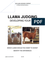 judging-manual-final.pdf