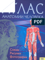Атлас анатомии человека.pdf