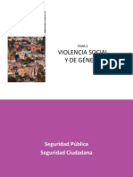 PP-VIOLENCIA-DE-GENERO