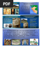 Mapa y Organización de la Cultura Chavín | PDF