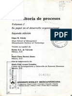 Consultoria de procesos.pdf