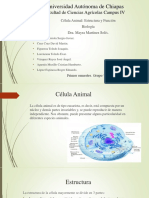 Célula Animal - Estructura y Función