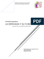 La Derivada y Su Función PDF