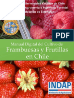 Manual de Cultivo de Frambuesa en Chile - Indap Puc 2015
