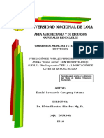 Daniel Leonardo Caraguay Satama PDF