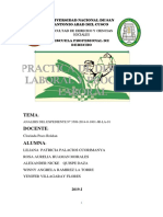 Analisis de Demanda Pratica Laboral