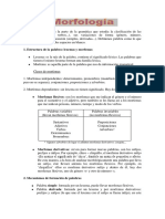 Morfologia_2_ESO.pdf