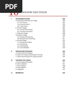 CHAPTER 16 Industry Life Cycles