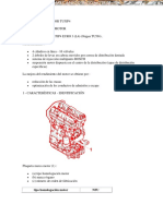 Manual Mecanica Automotriz Motor Tu5jp4 Descripcion PDF