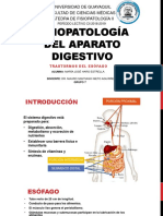 fisiopatologia digestiva 