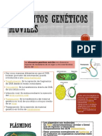 Elementos Genéticos móviles