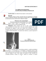 Fitopatologie s2.pdf