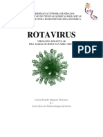 Rotavirus (Resumen) 2019