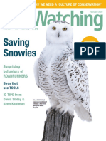 BirdWatching - USA - January-February - 2020 2