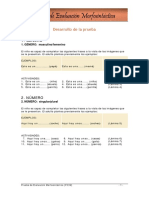 DesarrolloPrueba  PEM.pdf