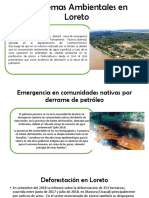 Problemas ambientales en Loreto: derrames de petróleo, deforestación y contaminación