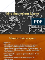 Mycobacterium Leprae 1198634088856845 5