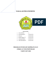 Makalah Pielonefritis