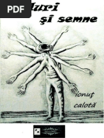 Nuduri şi semne ebook.pdf