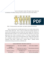 Tjelesne Proporcije Djeteta