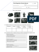 Ficha Diagnostica 5º Ano CN