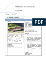 1. Laporan Referensi KH (Subkelas Protheria) Monotremata.docx