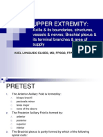 Upper Extremity Axilla & Brachial Plexus
