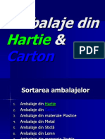 Ambalaje Din Hartie Carton