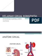 KELAINAN GINJAL KONGENITAL.pptx