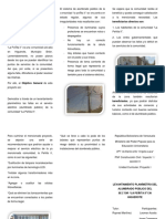 Triptico Proyecto Drely