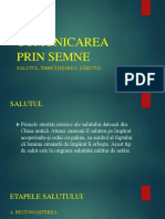 COMUNICAREA PRIN SEMNE.pptx