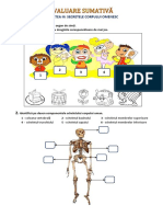 Evaluare sumativa -MEM.docx