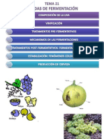 Tema21-Bebidas de Fermentacion