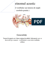 dokumen.tips - neurinomul de acustic prezentare de caz конвертирован